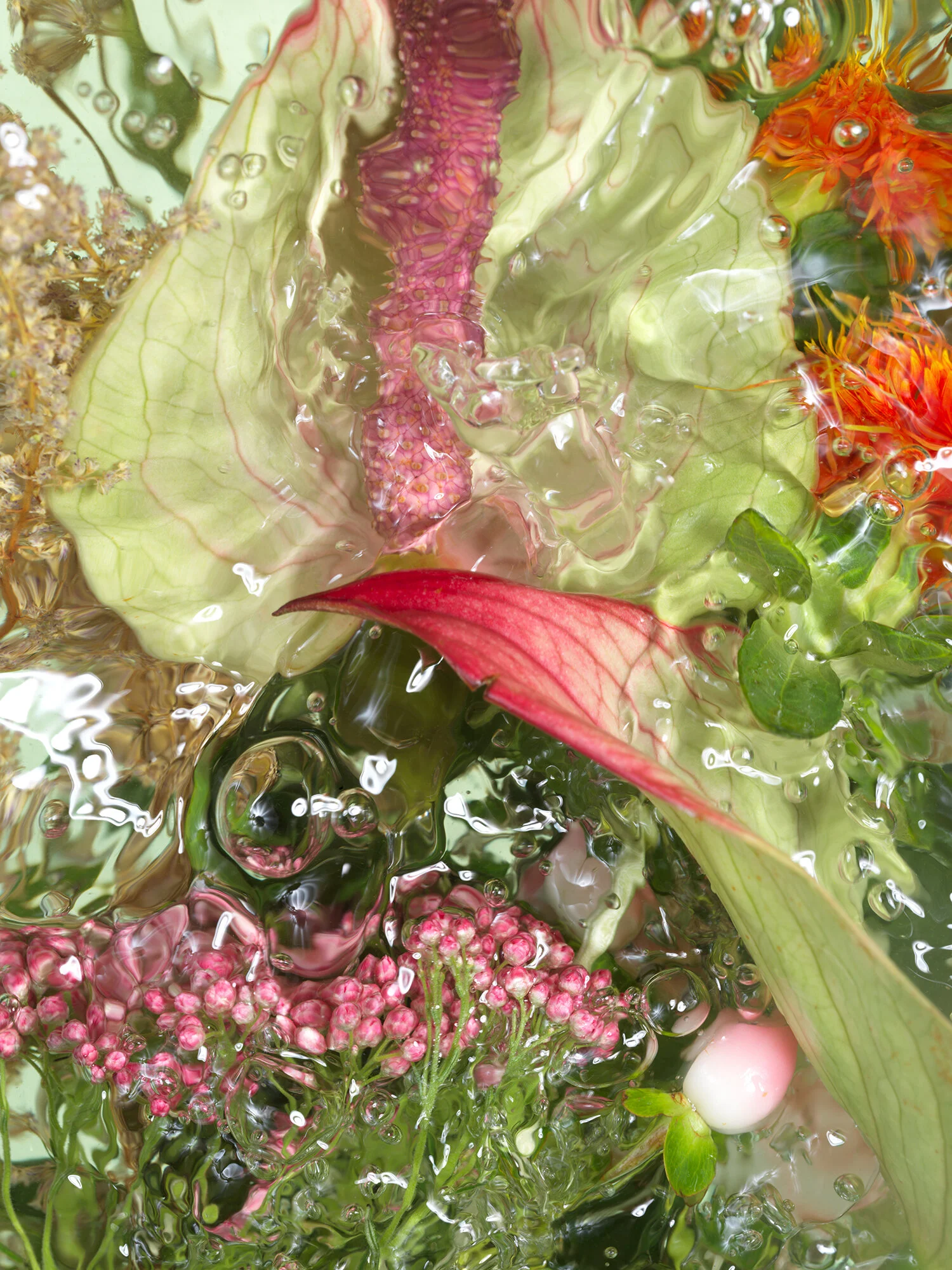 LPA Futures / Andrea Zvadova / Flowers 