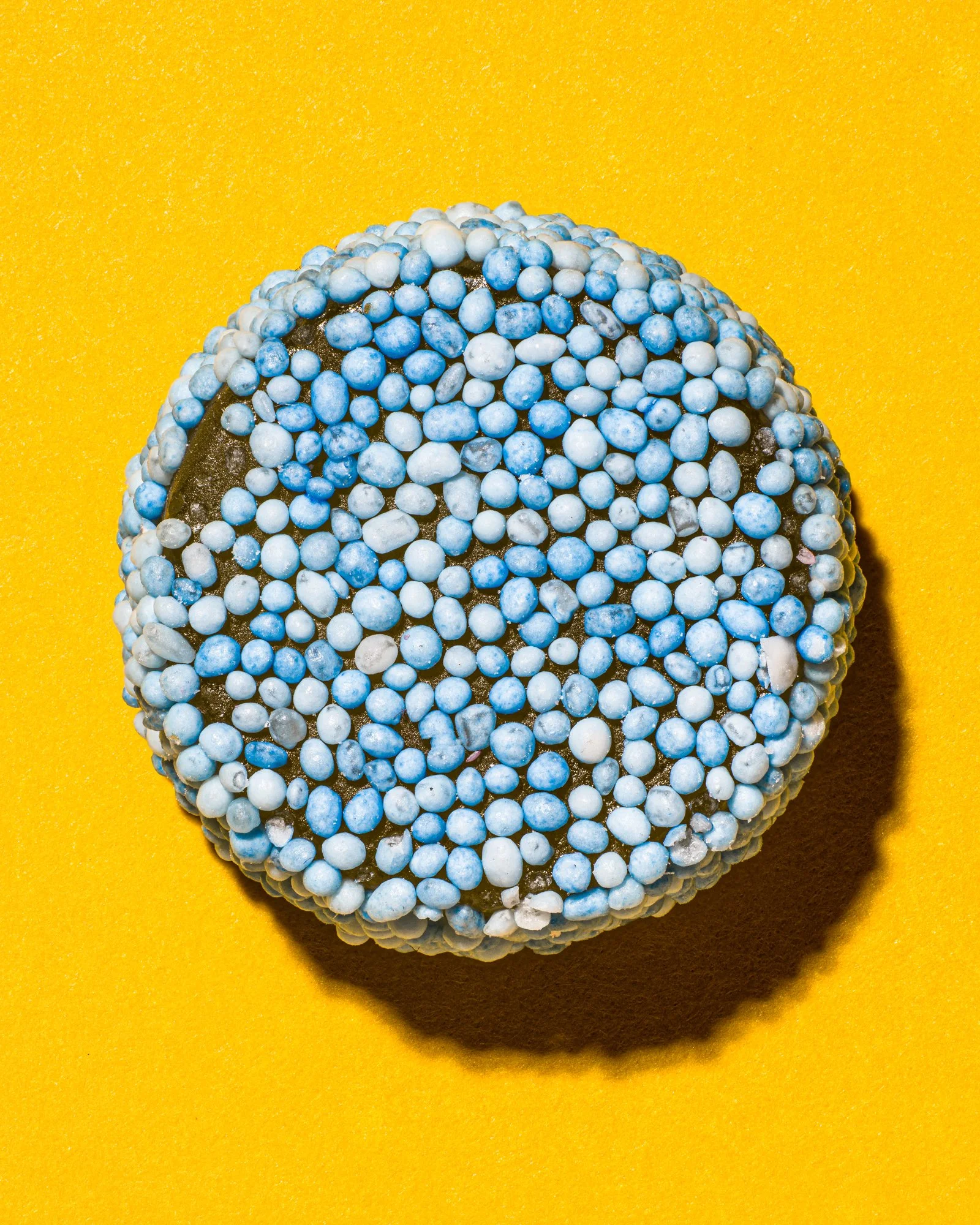 blue yellow-Edit.jpg