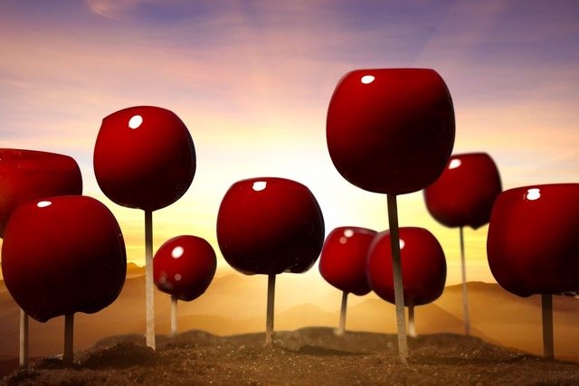 C037CFE0-3A8F-45E7-9BA8-213A006CFEF6-1024x683 (1).jpeg