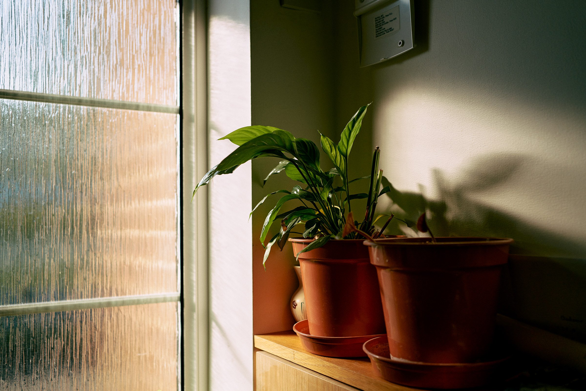 07.06.22_0306_KH_film.jpg