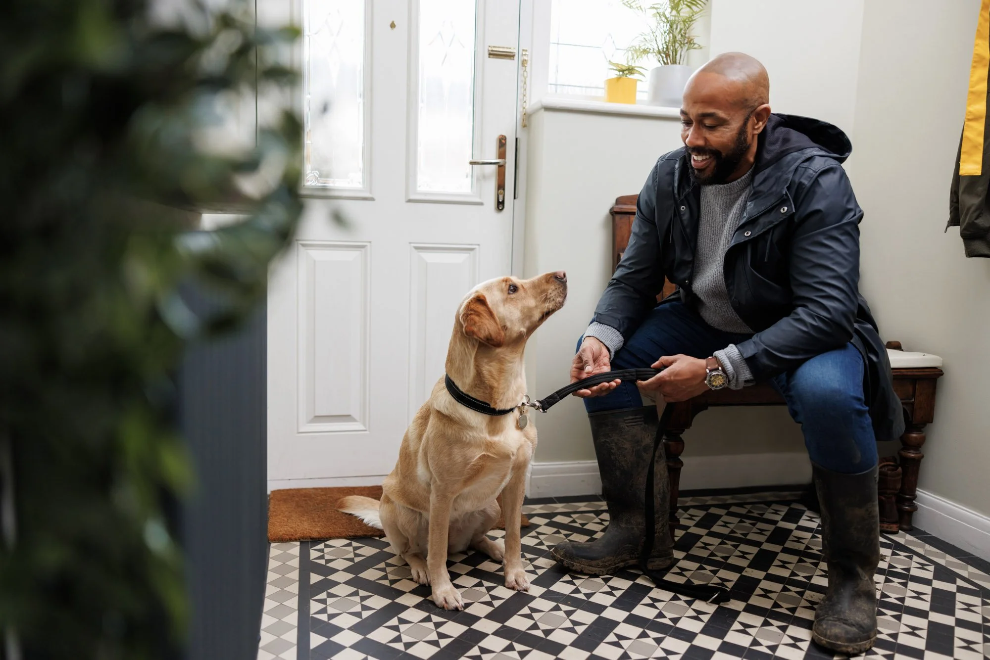 Dogs-Trust-36.jpg