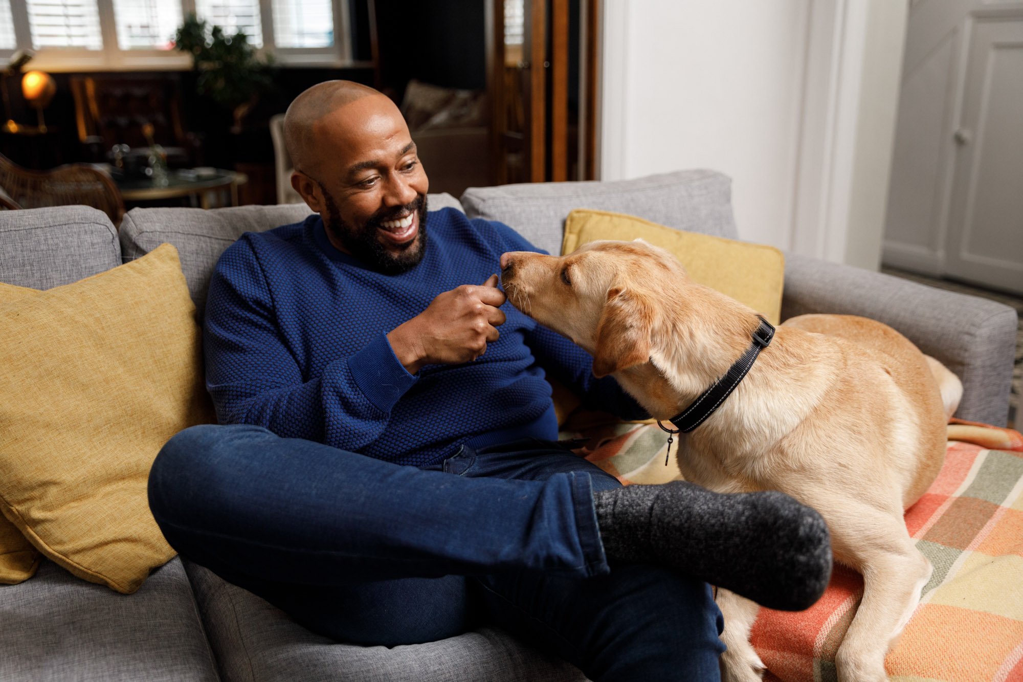 Dogs-Trust-25.jpg