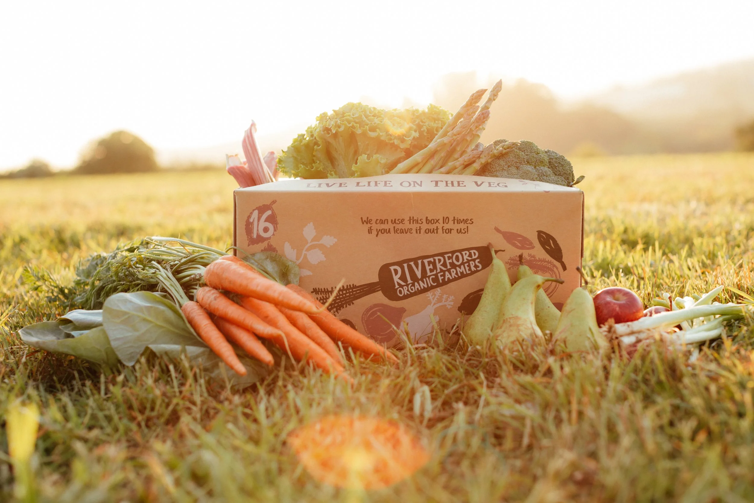 Riverford Veg Boxes-53.jpg