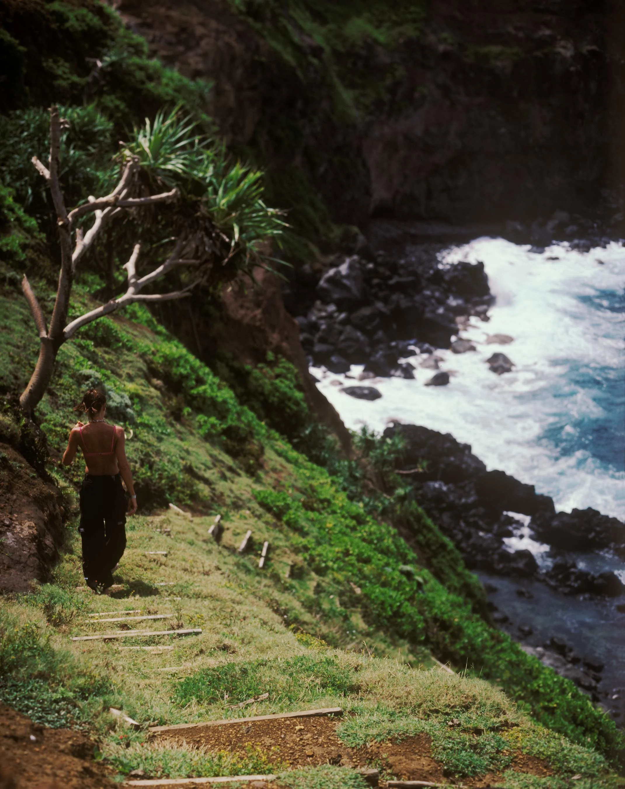 paradise1.jpg