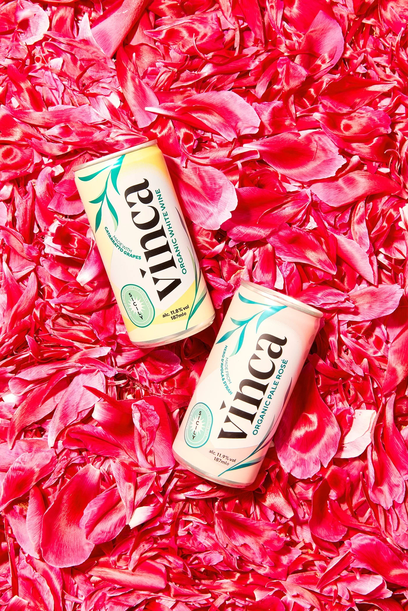 KATIE LEONARD - PORTFOLIO - LISA PRITCHARD413.jpg