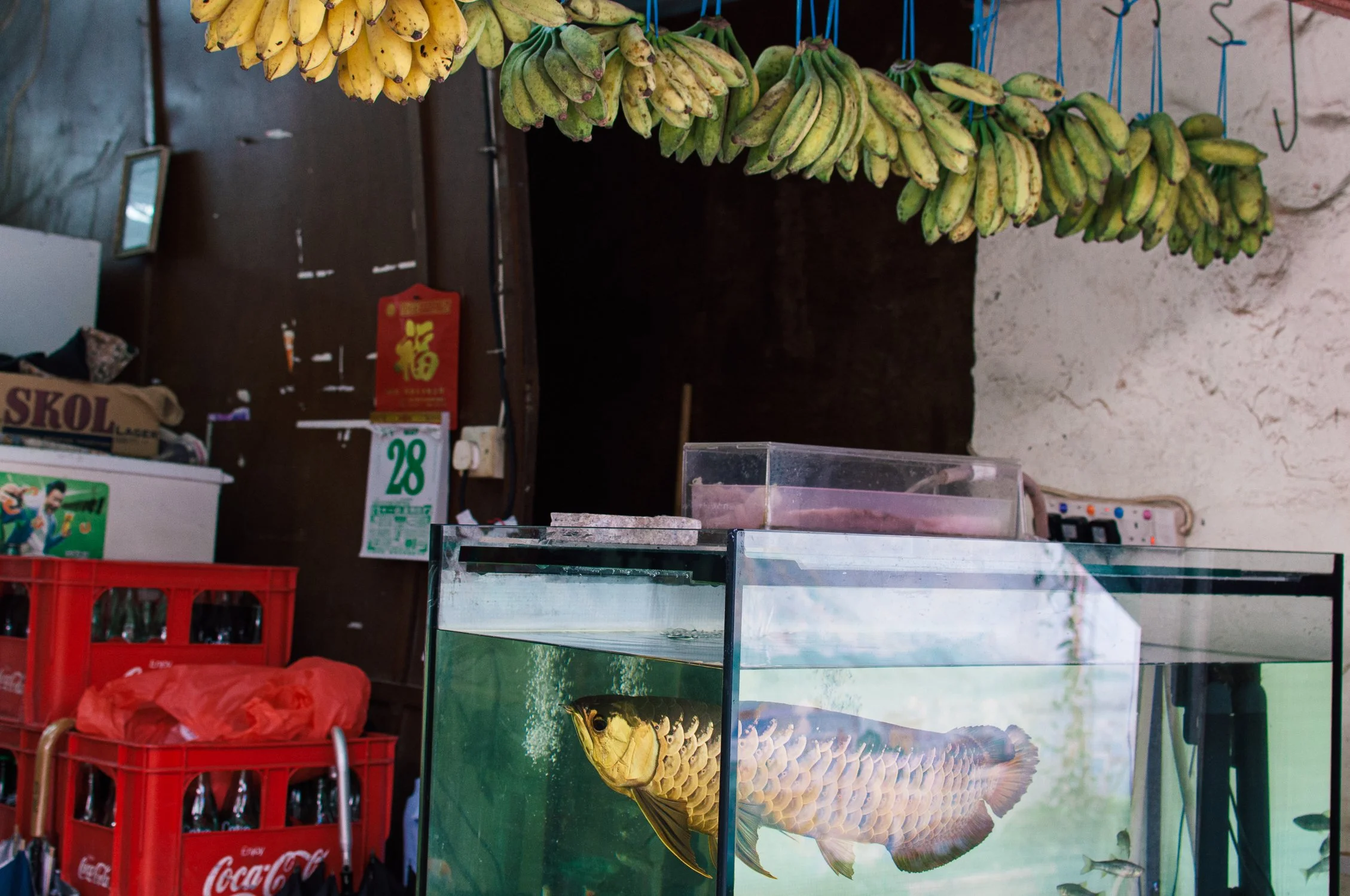 Portfolio Mix_by Katya Ilina_12.jpg