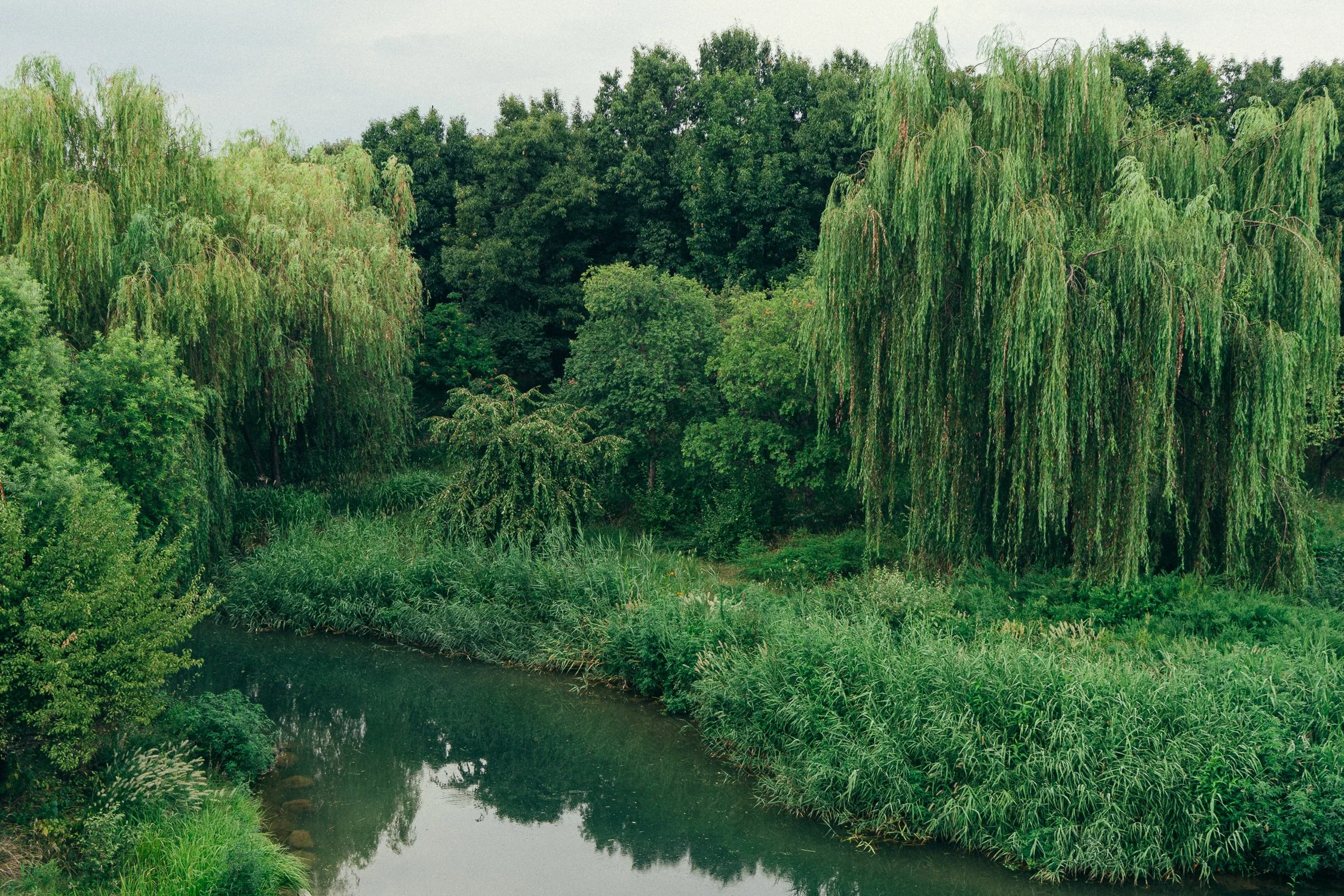 Portfolio Mix_by Katya Ilina_14.jpg