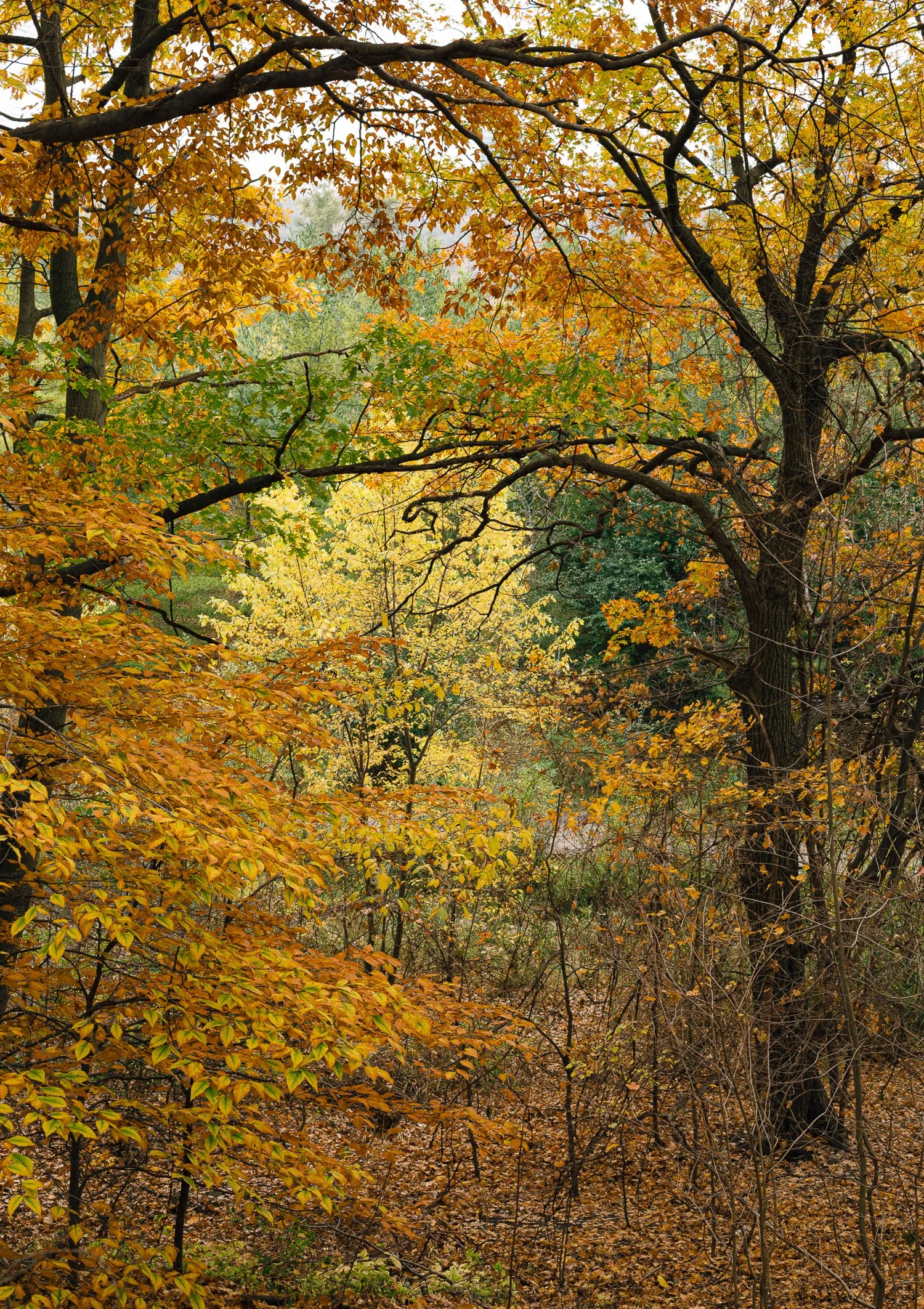 Portfolio Mix_by Katya Ilina_27.jpg