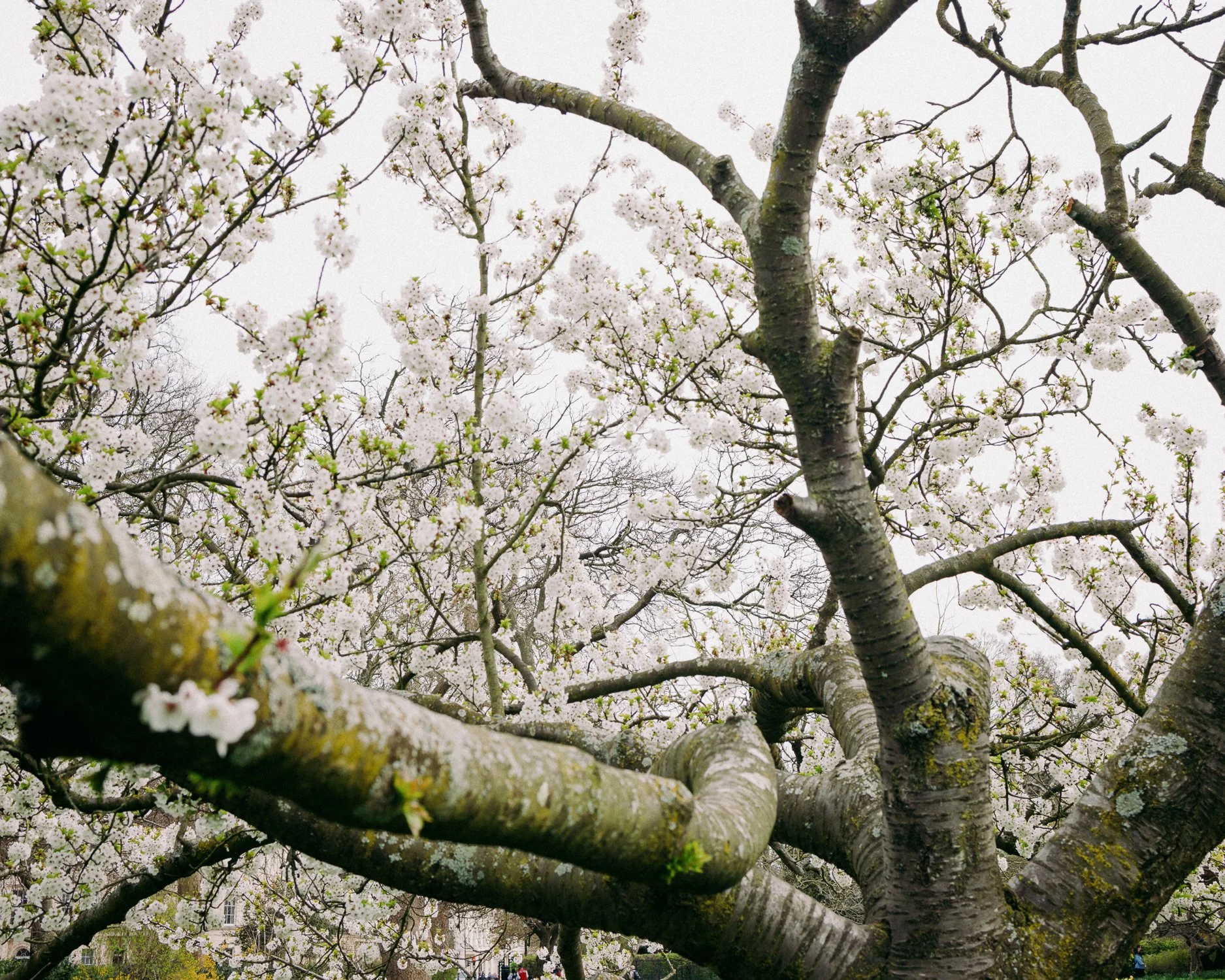 Portfolio Mix_by Katya Ilina_100.jpg