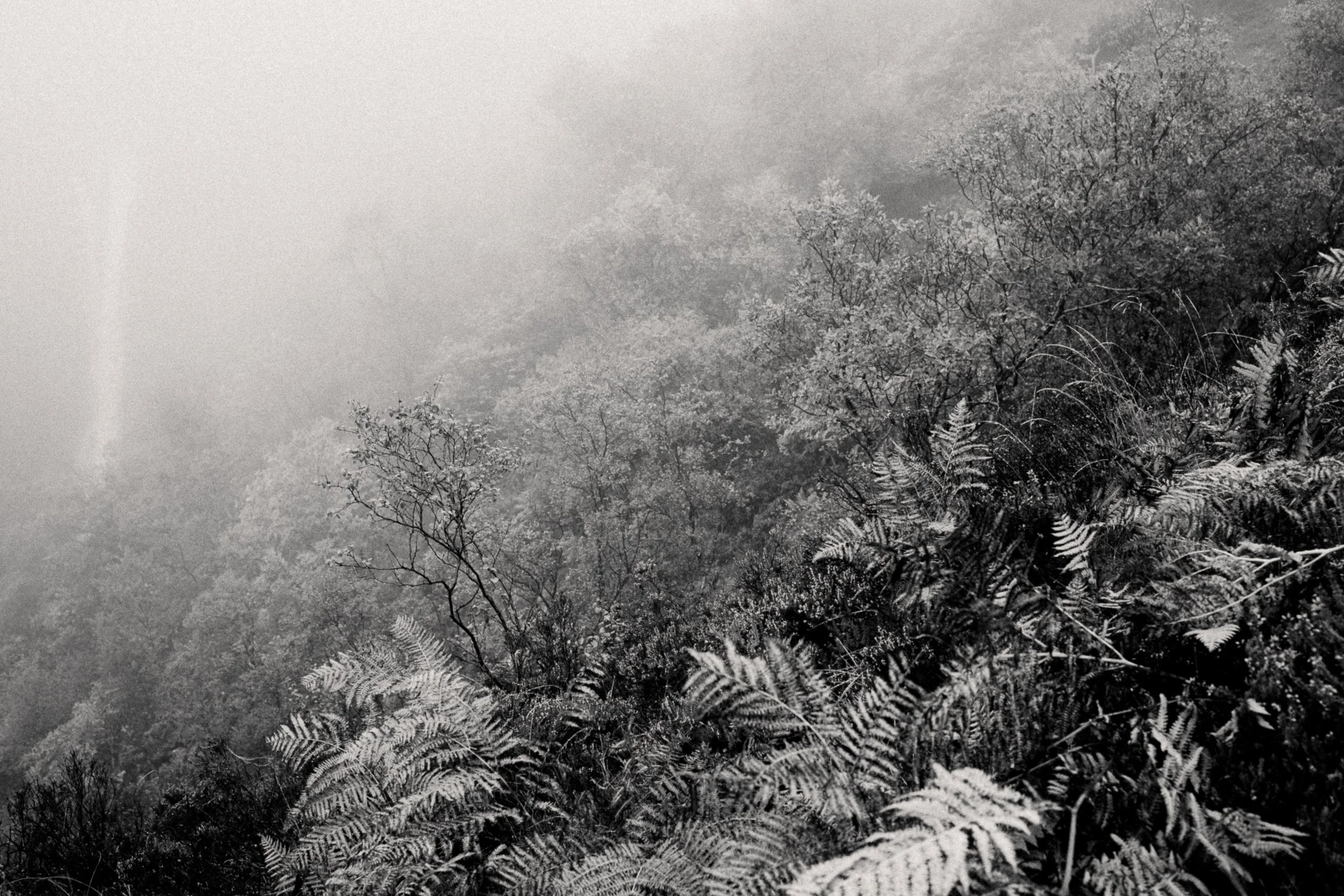 Scotland_by Katya Ilina_02.jpg