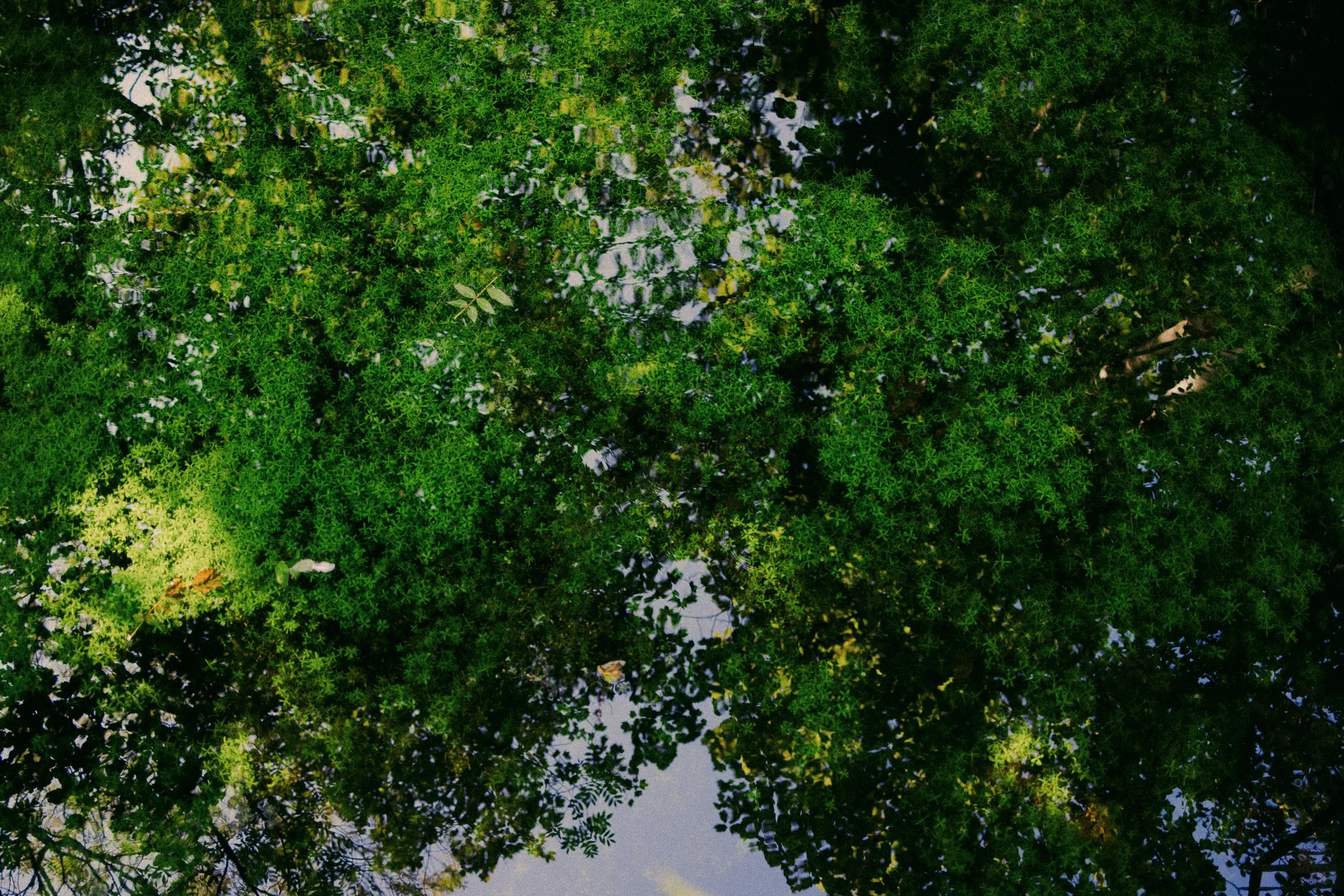 Scotland_by Katya Ilina_01.jpg