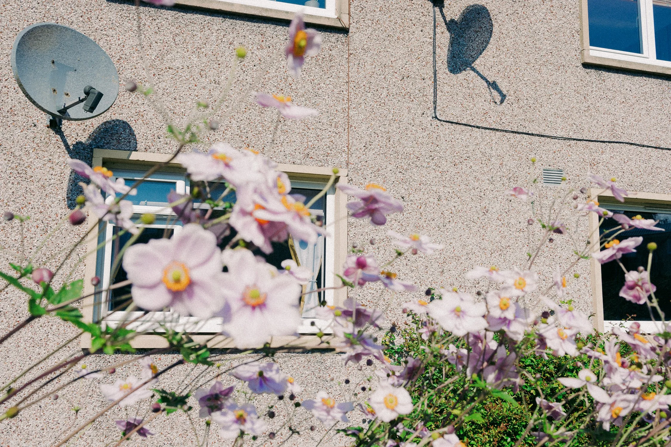 Scotland_by Katya Ilina_07.jpg