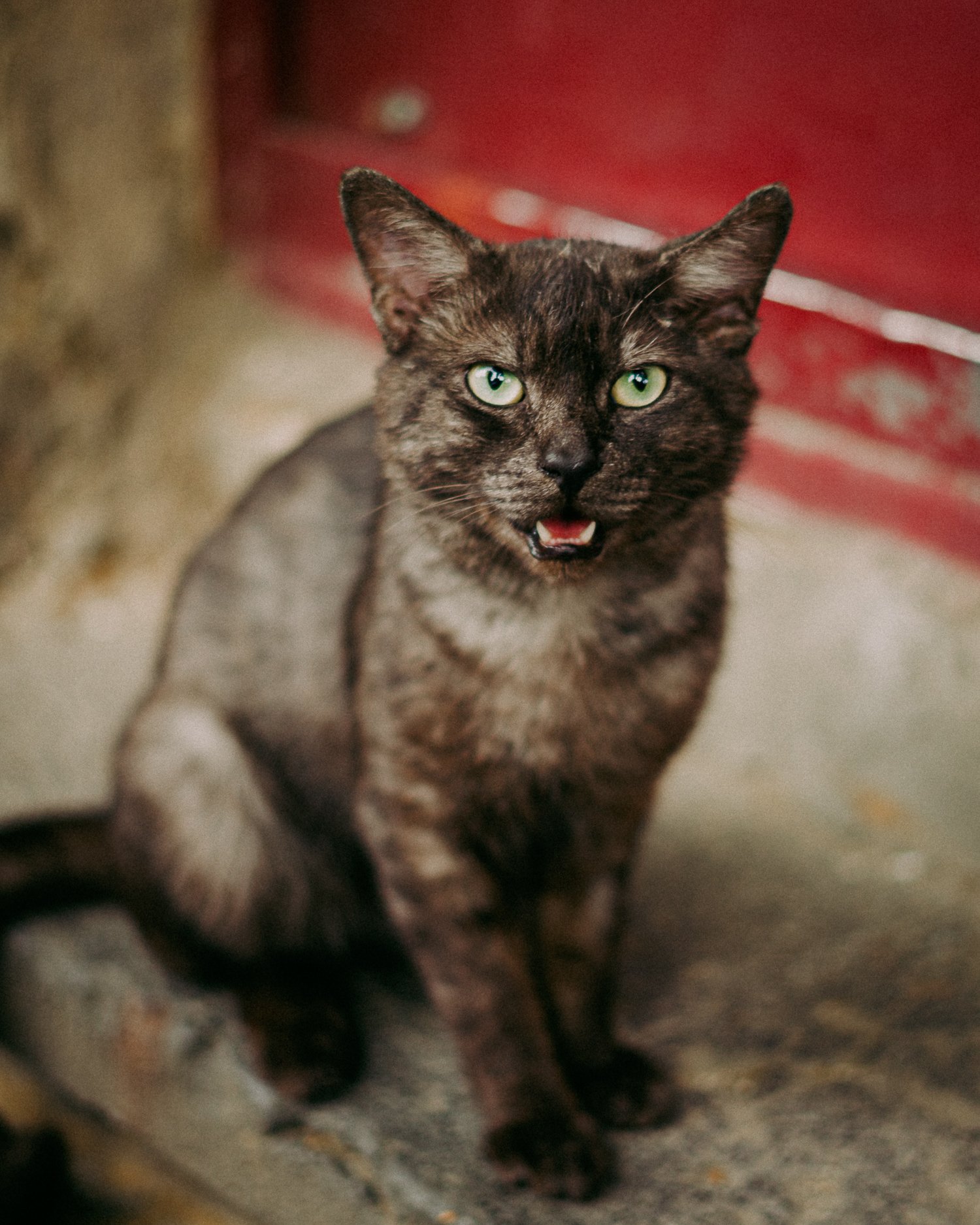 Tbilisi Spirits_low res _04.jpg