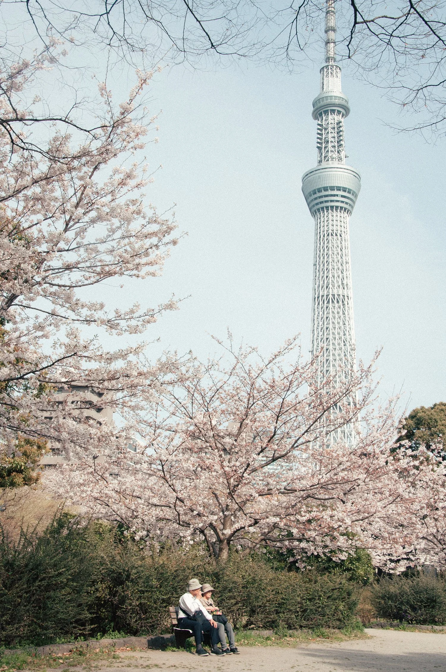 Tokyo Sunrise_by Katya Ilina_08.jpg