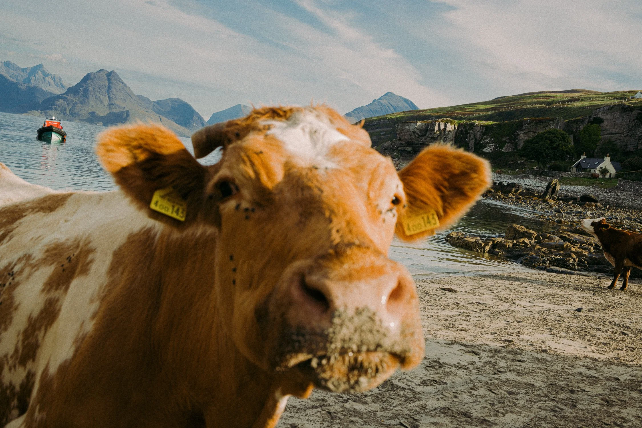 Scotland_by Katya Ilina_12.jpg