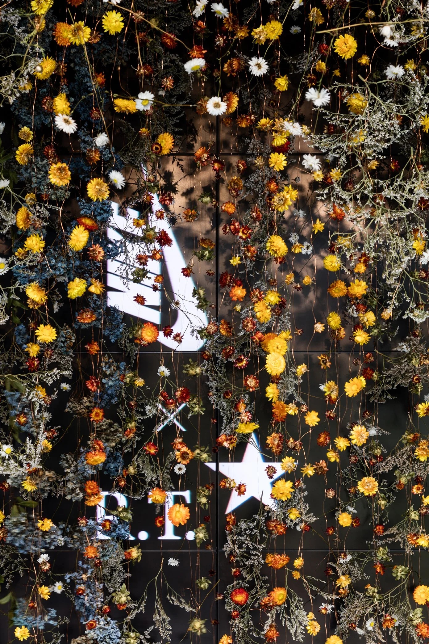 hotelcreative_1351_0178_contrast.jpg