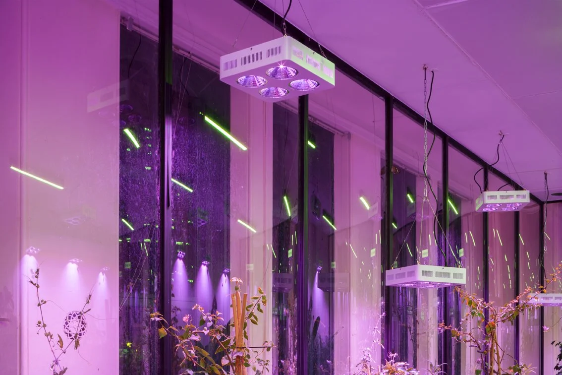 bompasandparr_1326_0155.jpg