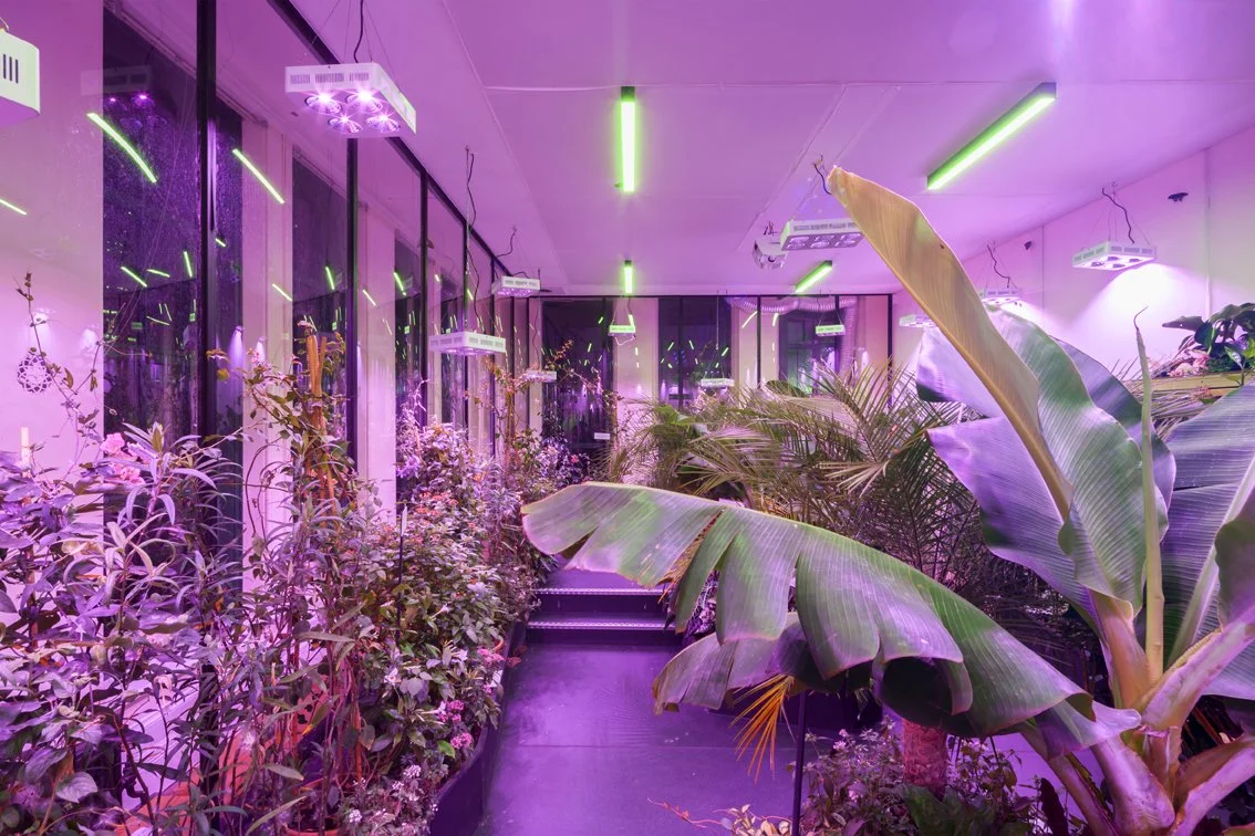 bompasandparr_1326_0146.jpg