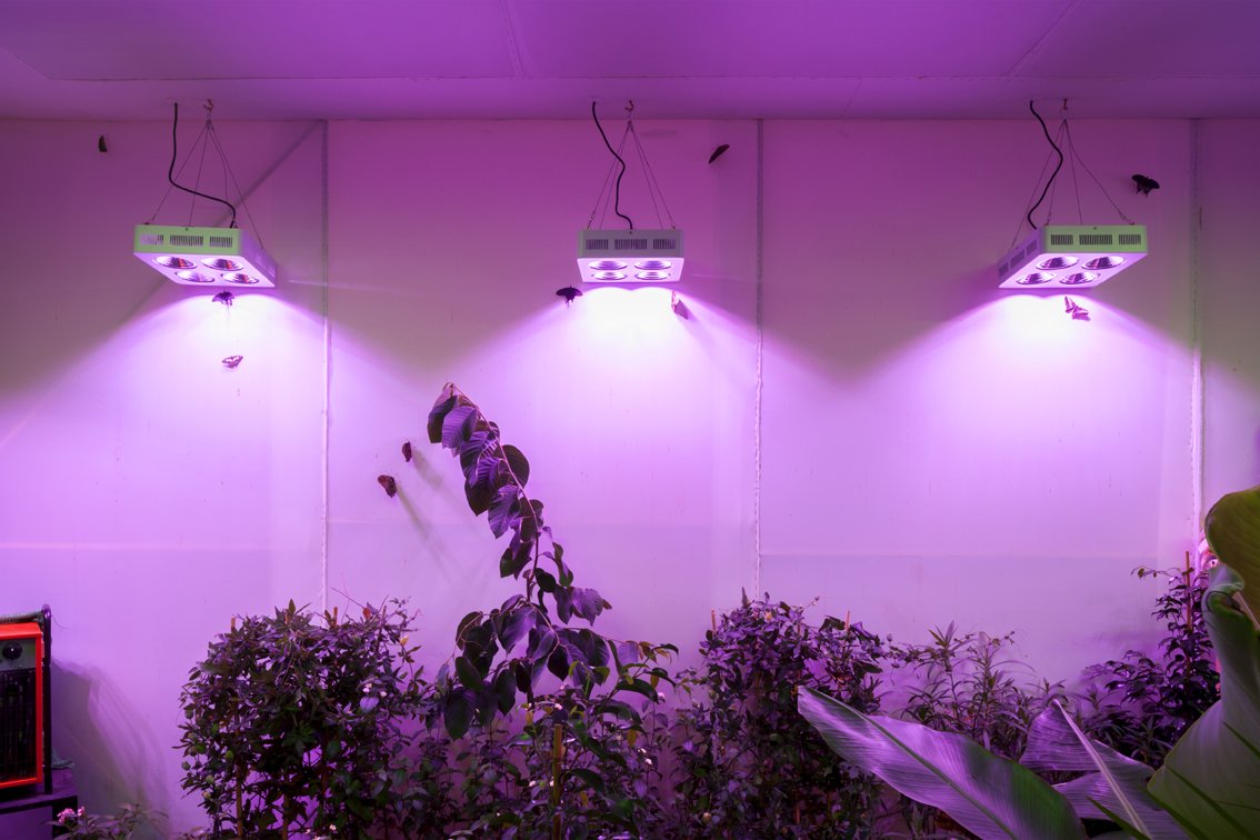 bompasandparr_1326_0169.jpg