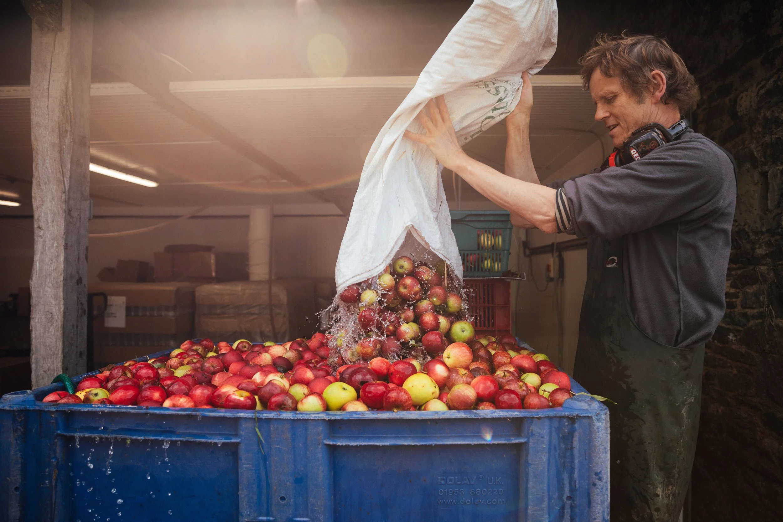 Bens Apple Press_Emma Stoner-2.jpeg