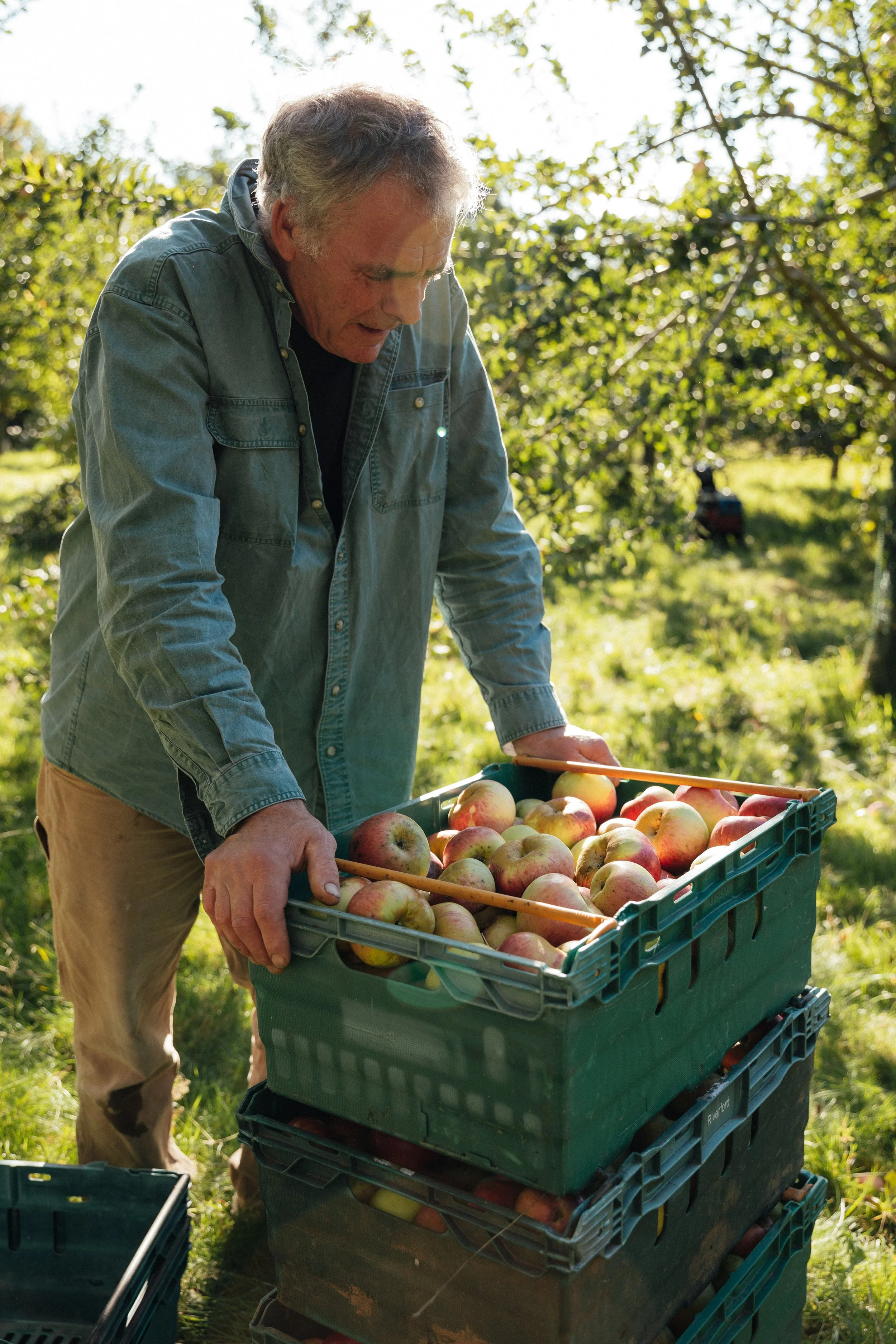 Bens Orchards_Emma Stoner-36 1.jpeg