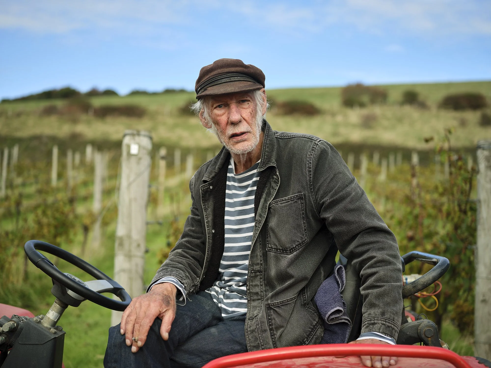 ORLANDO GILI / WITH A LITTLE HELP FROM MY FRIENDS - A VINEYARD IN SUSSEX HARVEST