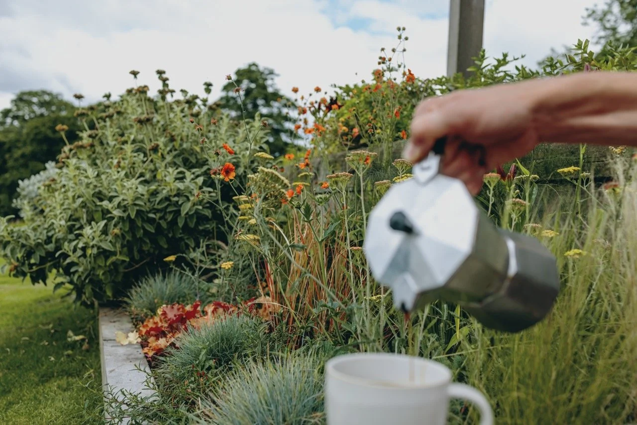 NIC KANE / WE SAY GROW