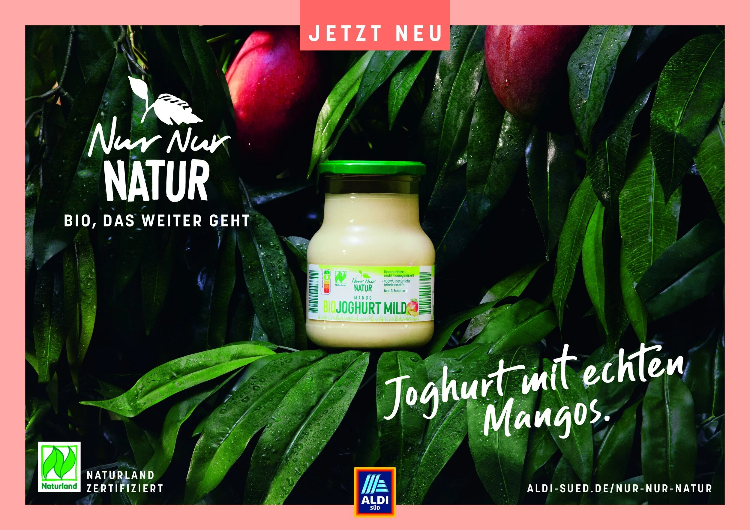 How to Commission a Photographer? Part 2: Finding the Right Photographer for your Shoot