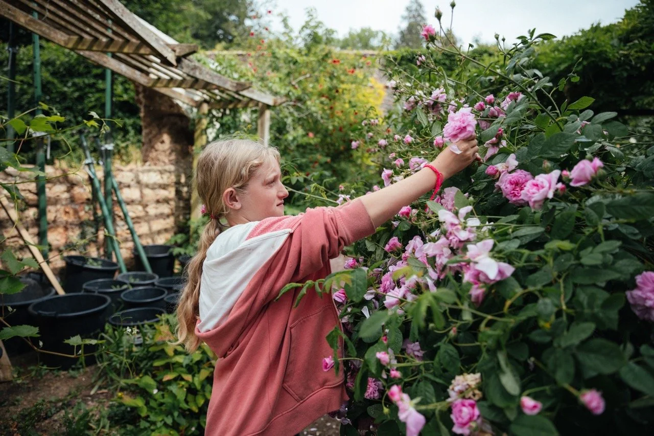 EMMA STONER / FORAGING SUMMER GOODNESS 