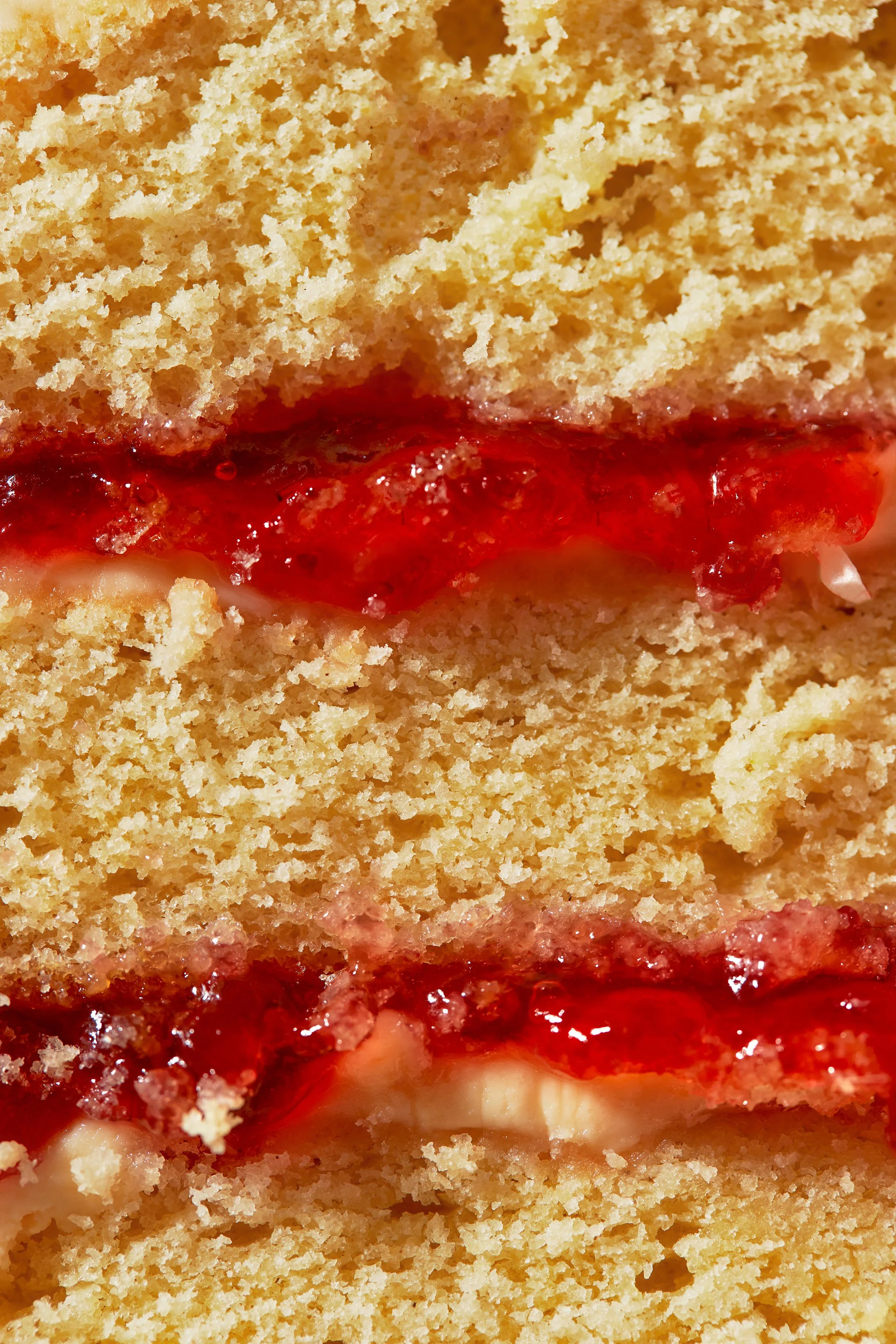 KATIE LEONARD - PORTFOLIO - LISA PRITCHARD4511.jpg