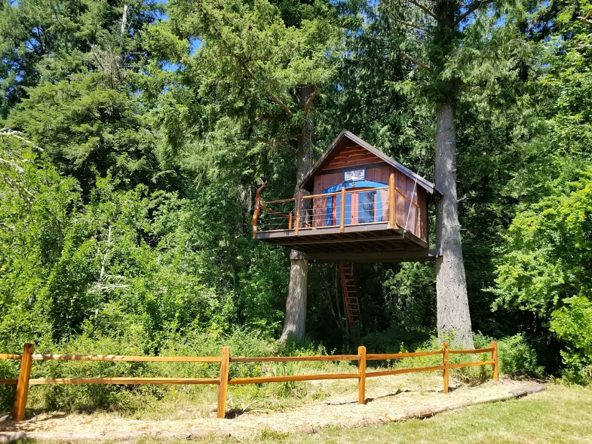 20170704_152133.jpg