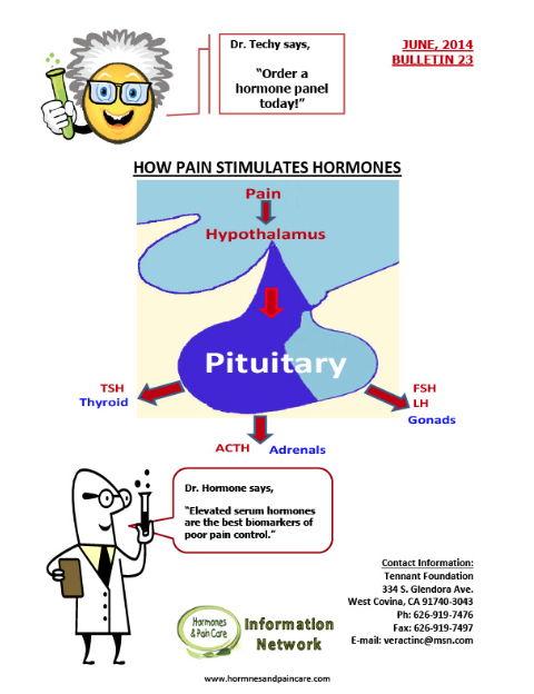 Bulletin 23: How Pain Stimulates Hormones