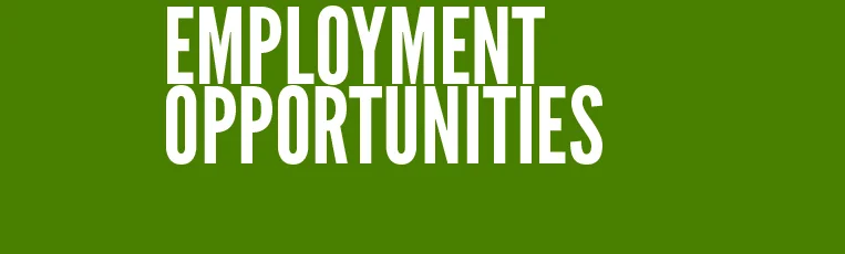 Employment.jpg