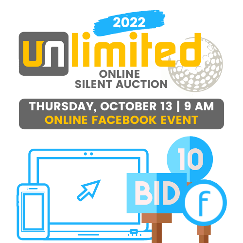 Unlimited Online Auction