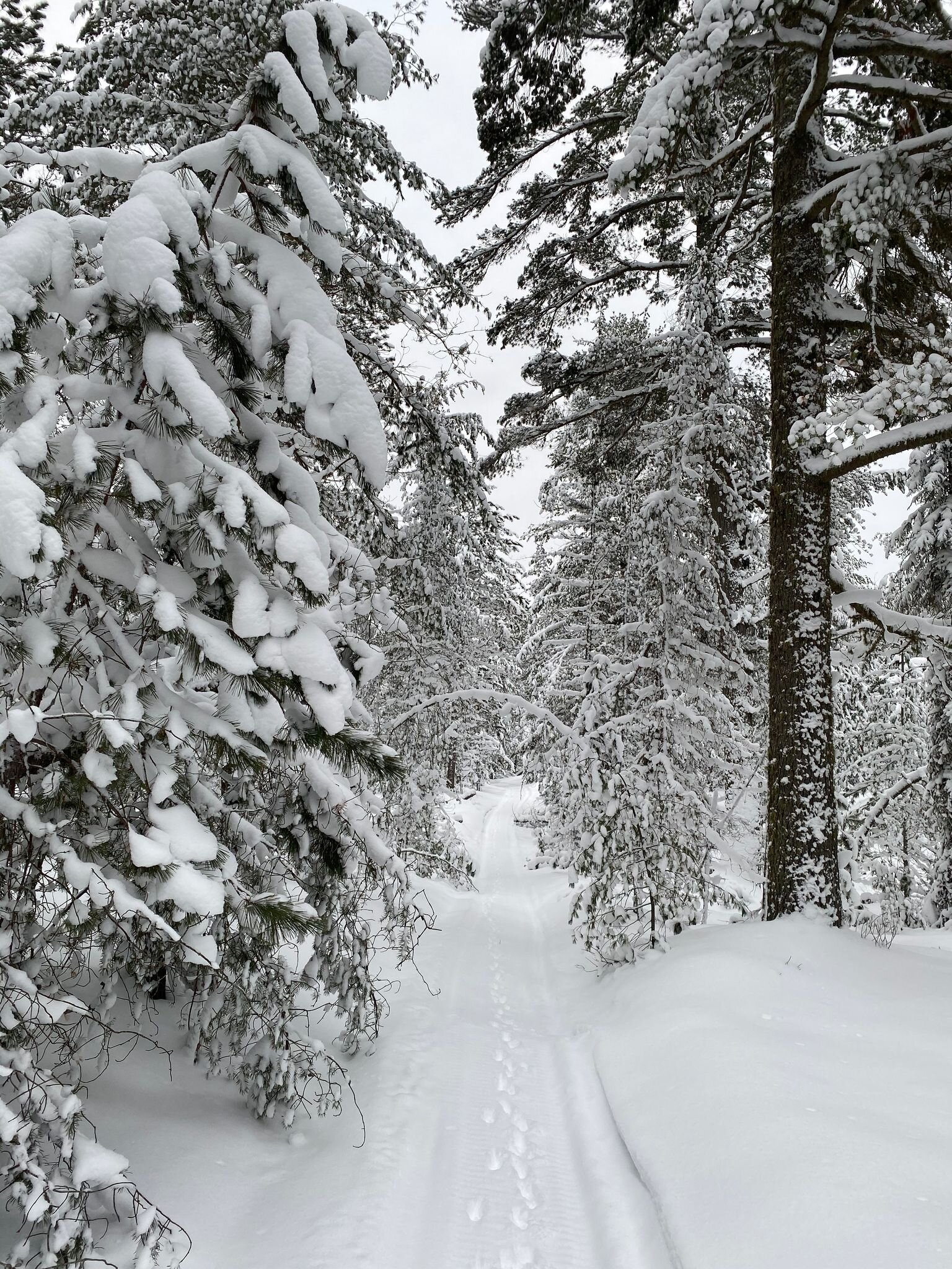 winter2.jpeg