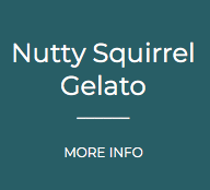 Nutty Squirrel.png