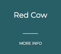 Red Cow.png