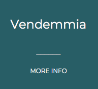 Vendemmia.png