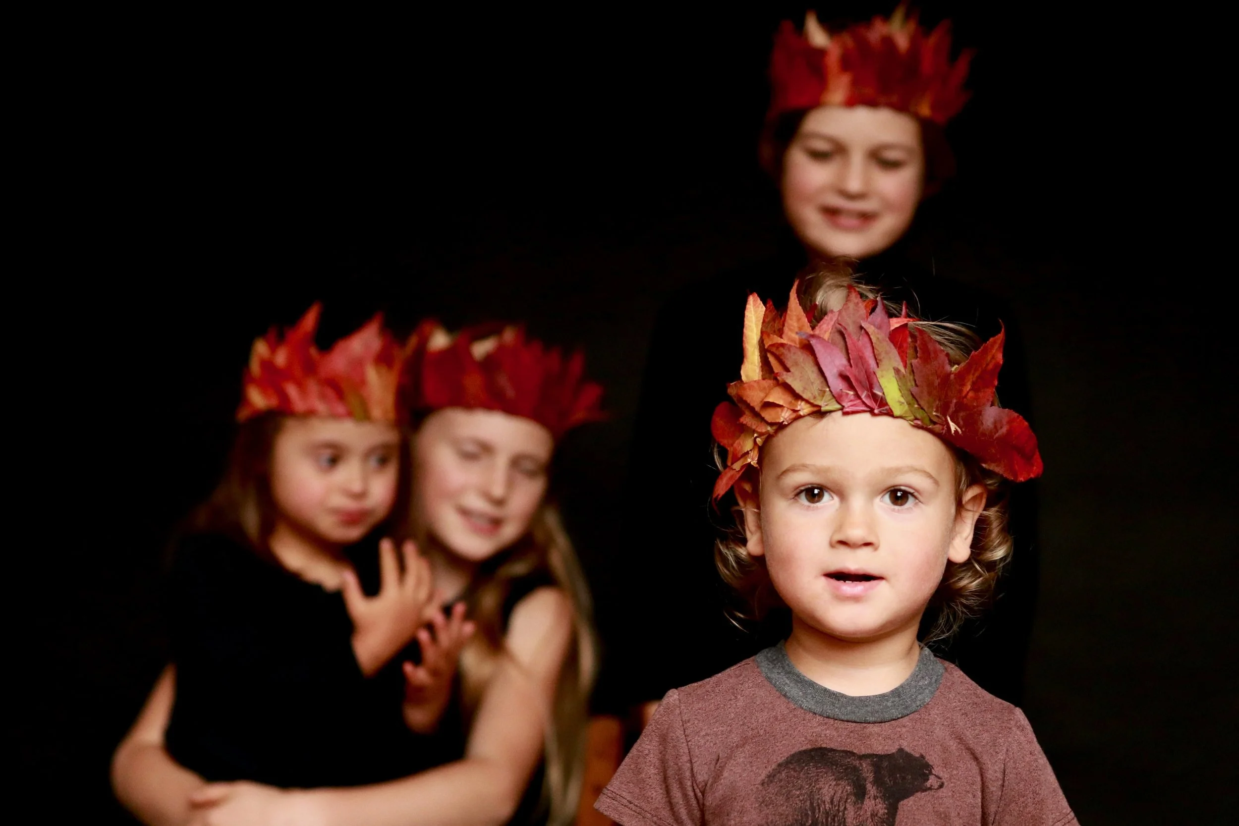 Leaf Crowns