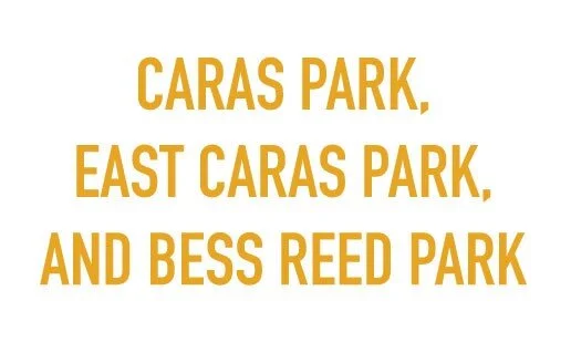 CARASw.jpg