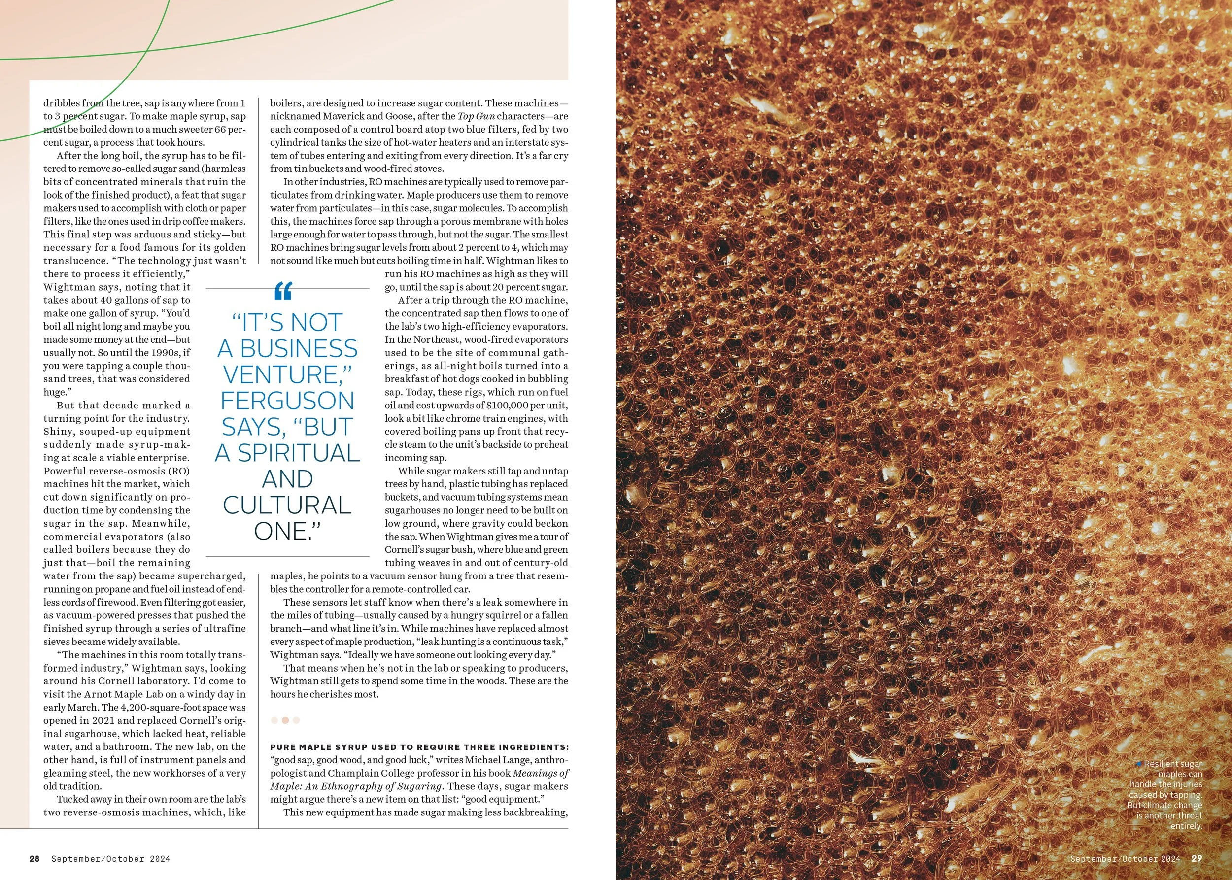 PMX090124FEAmapleSyrup_lo-4 copy.jpg