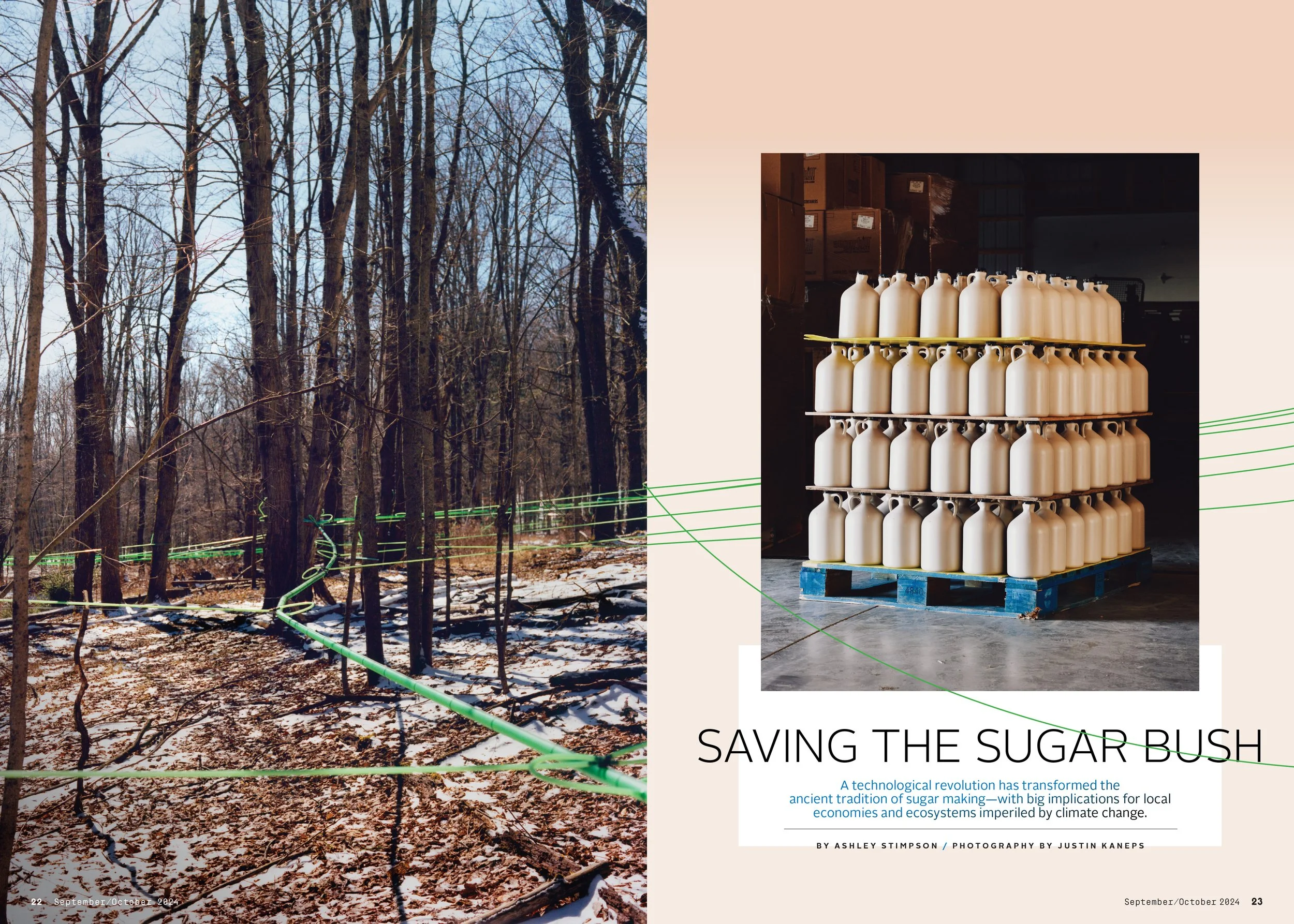 PMX090124FEAmapleSyrup_lo-1 copy.jpg