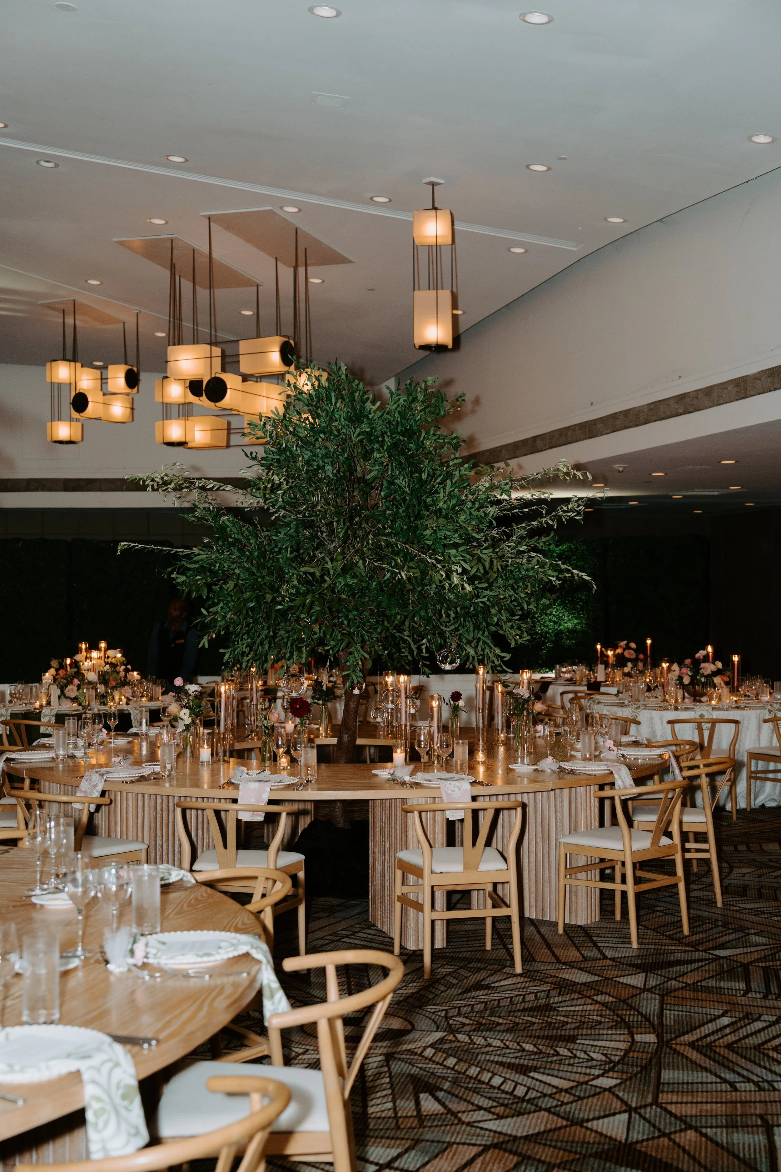 erin lane photo; arizona biltmore