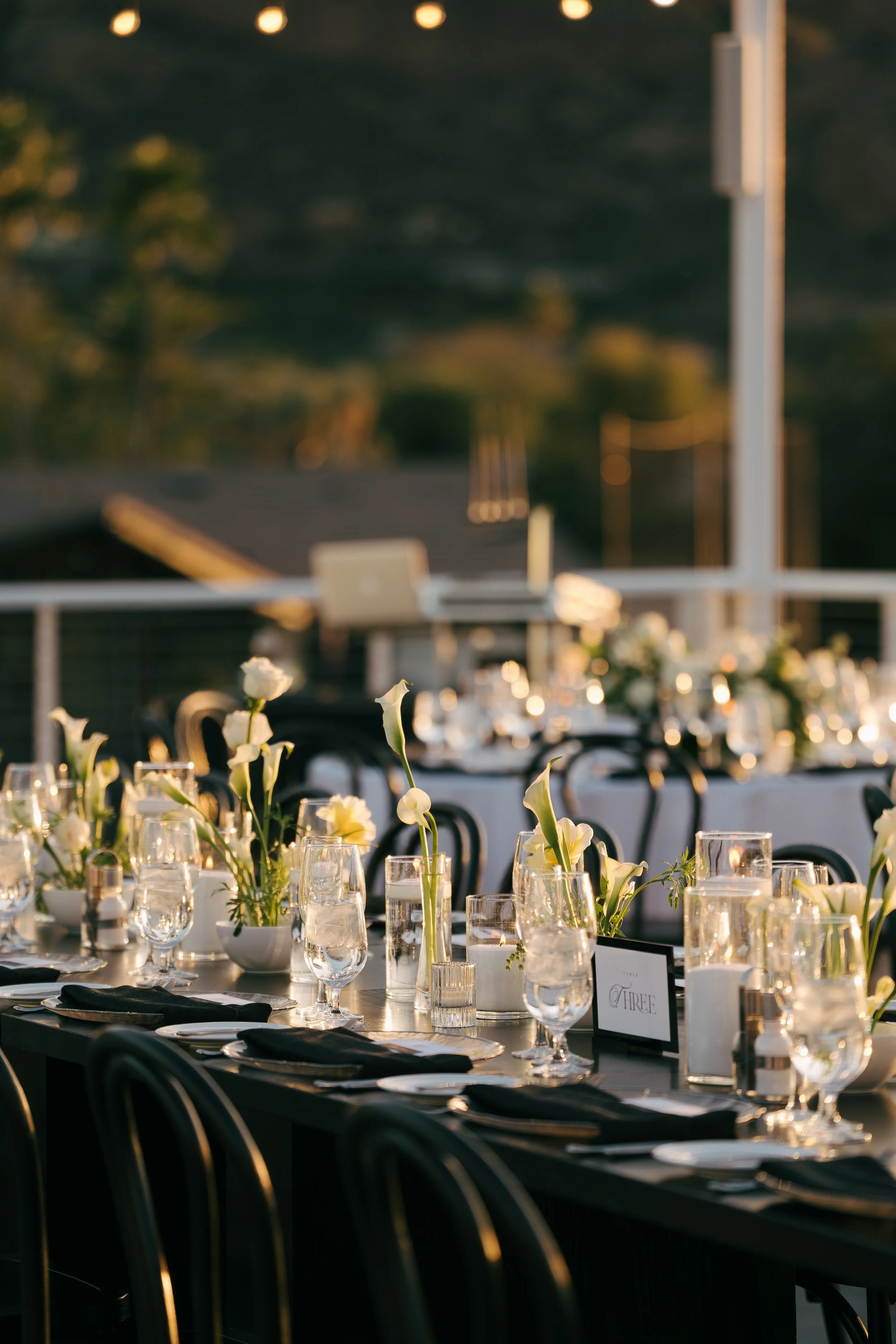miranda harper photo; mountain shadows resort