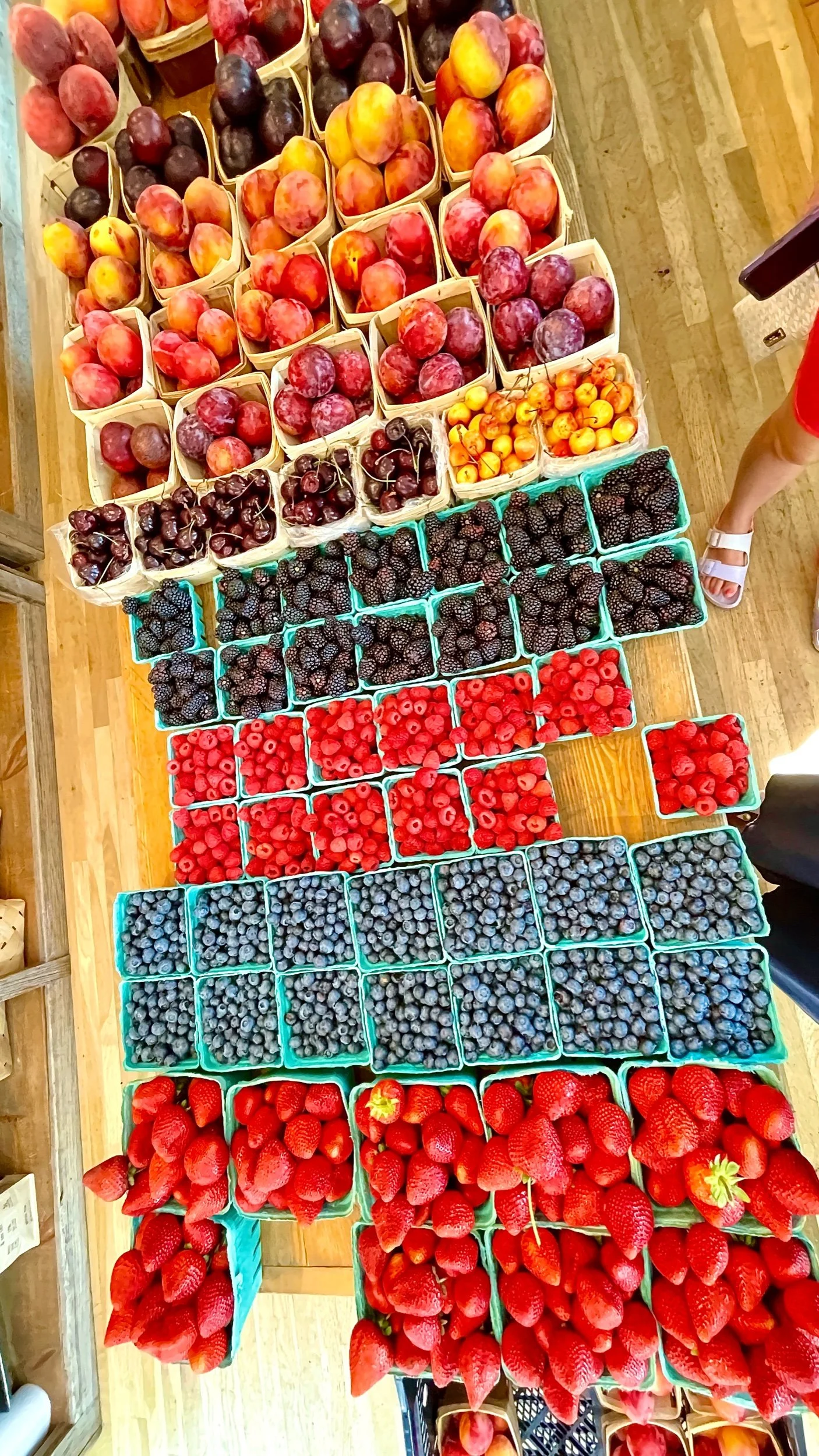Fruits and Fruits and Fruits