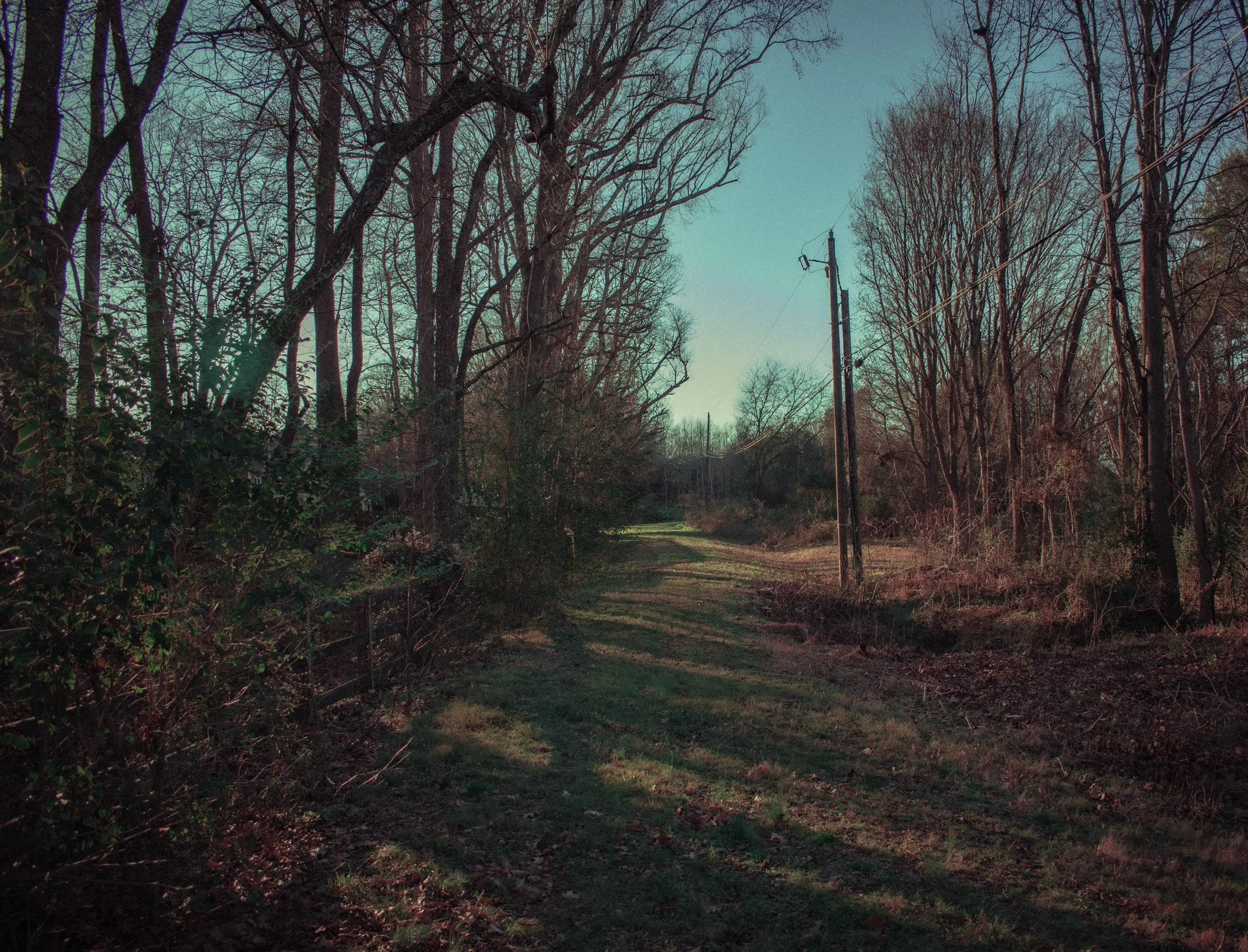 DSC_0033.jpg