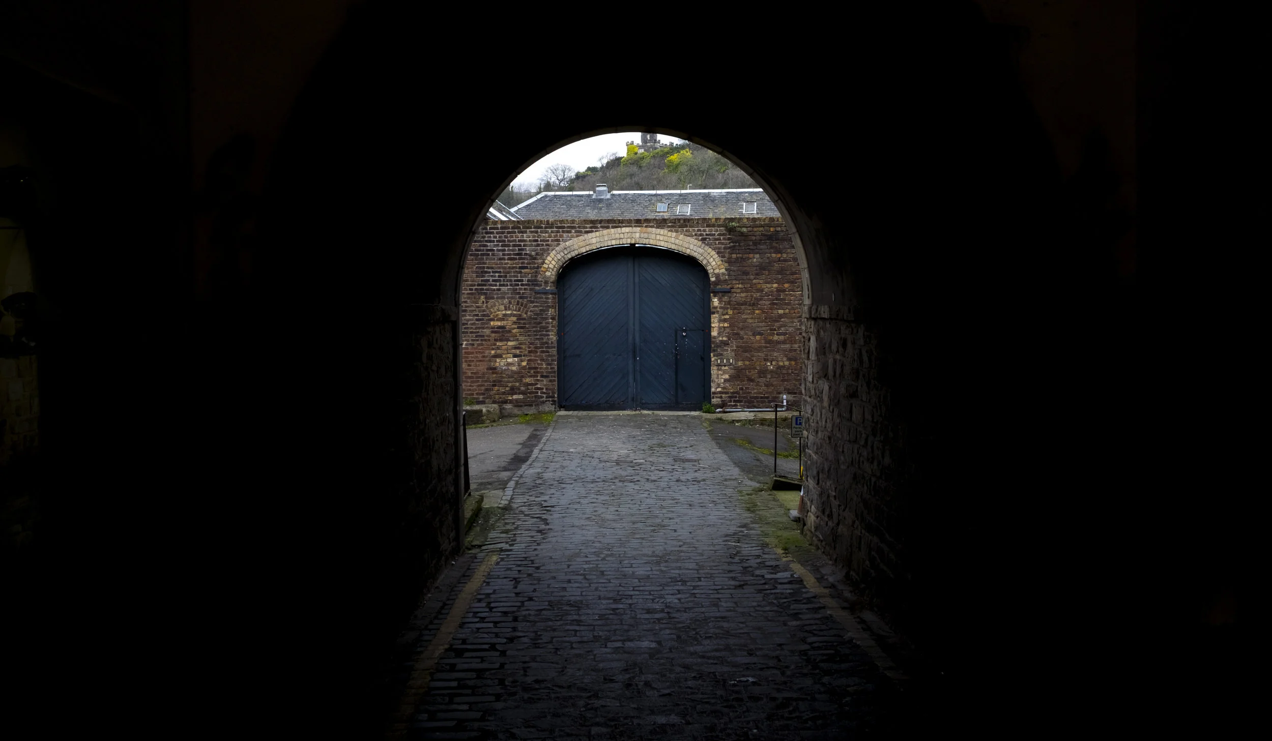 DSCF9165.jpg