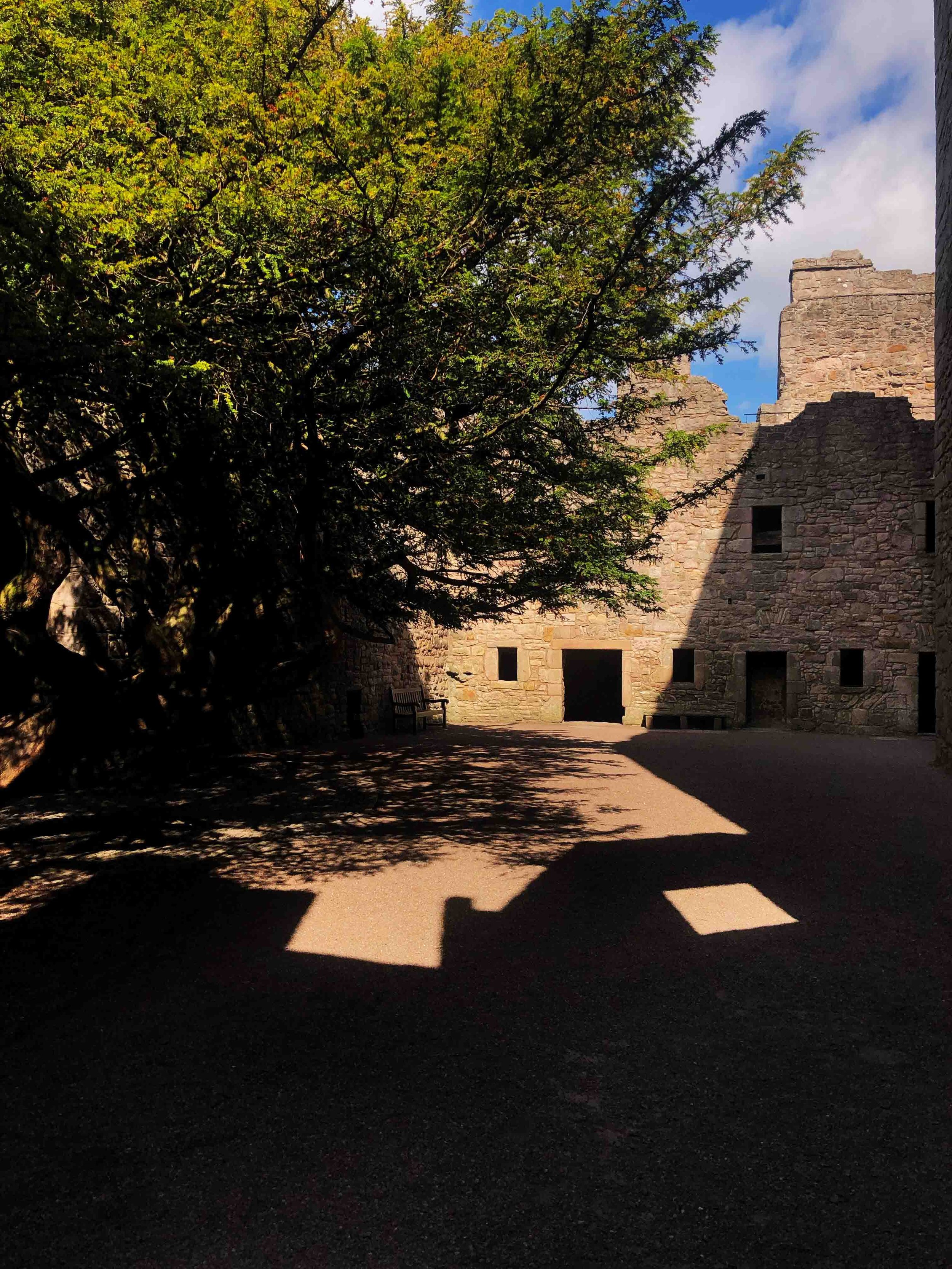Craigmiller Castle with Monarch Tours.jpg