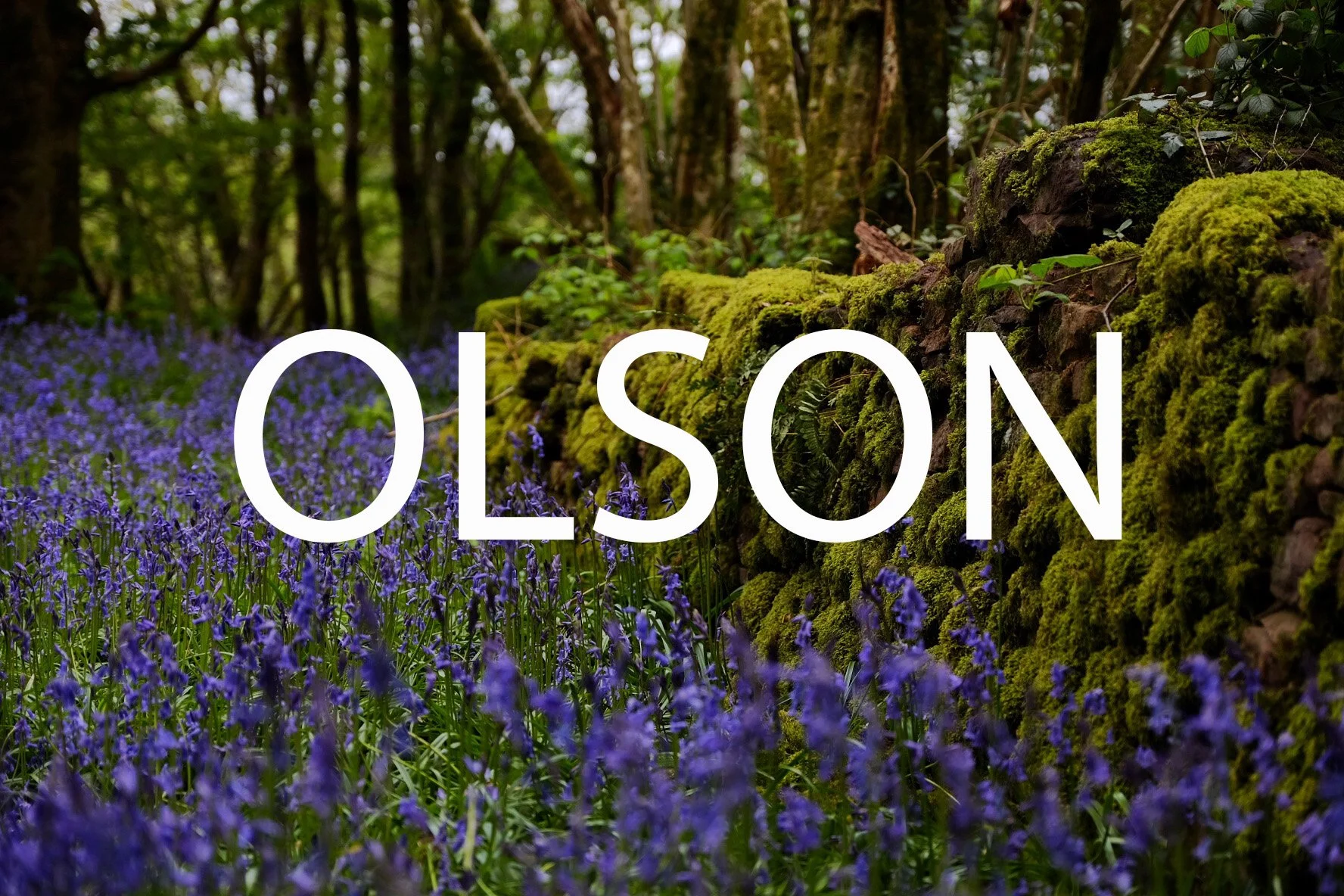 OLSON.jpg