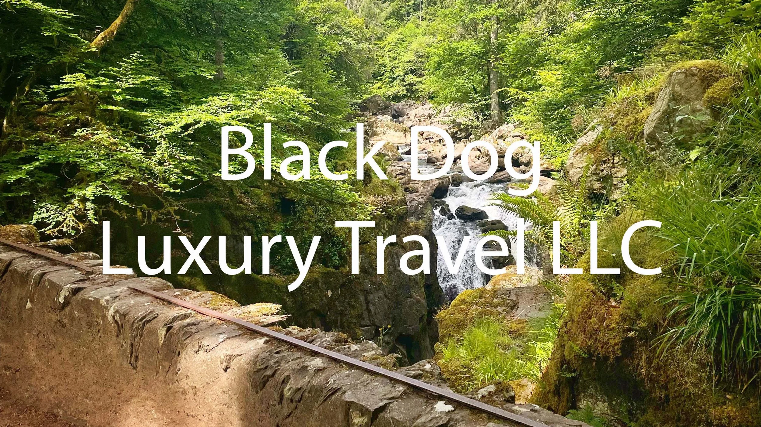 Black Dog Luxury Travel LLC.jpg